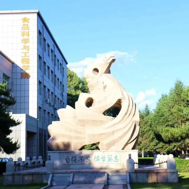 制定篮球交流计划以促进个人技能发展的方法_2